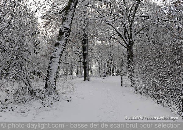 parc de Cointe sous la neige